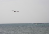 /album/fotogaleria-inicio/imgp0559-2-jpg1/